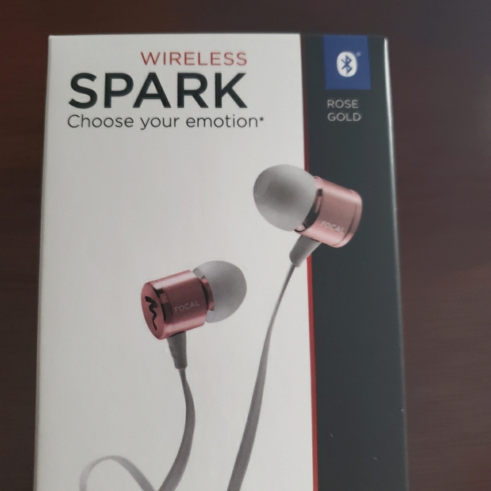 NEW Focal earphones 🎧